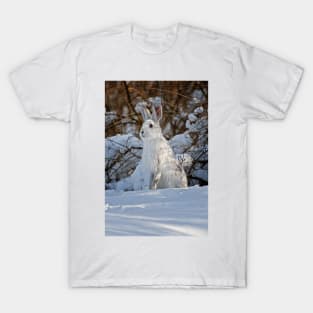 Snow Shoe Hare T-Shirt